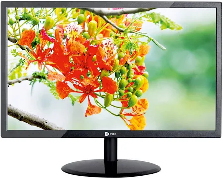 Enter 19-Inch LED Monitor