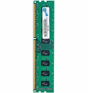 EVM 8GB DDR3 1600MHz RAM