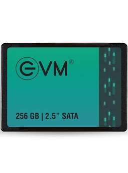 EVM 256GB 2.5-inch SATA SSD (EVM25/256)